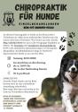Profi-Chiropraktik für deinen Hund