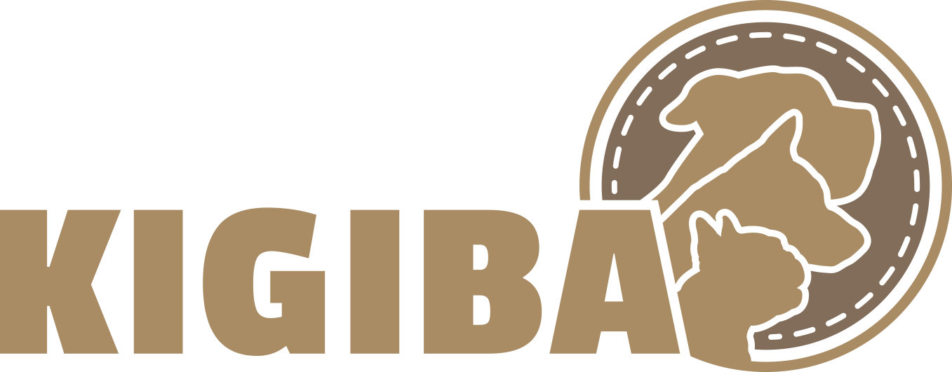 kigiba.com